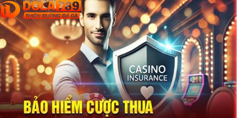 Chương trình áp dụng cho mọi thành viên Dola789