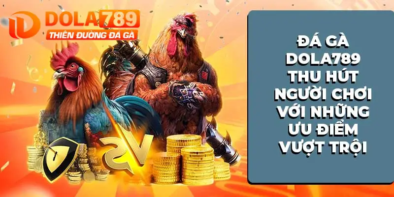 Đá gà Dola789 - chuyên mục thu hút người chơi
