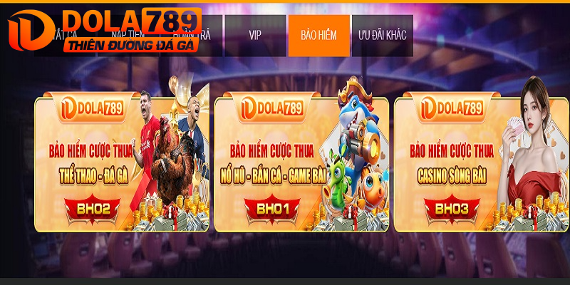 Sự kiện bảo hiểm thua cược tại nhà cái Dola789