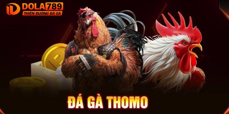 Thủ tục đặt cược chọi gà Thomo tại Dola789 đơn giản, an toàn 